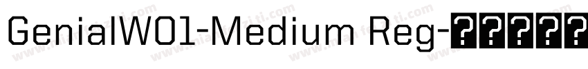 GenialW01-Medium Reg字体转换
